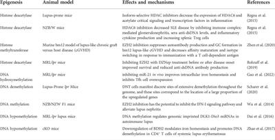 Lupus nephritis: The regulatory interplay between epigenetic and MicroRNAs